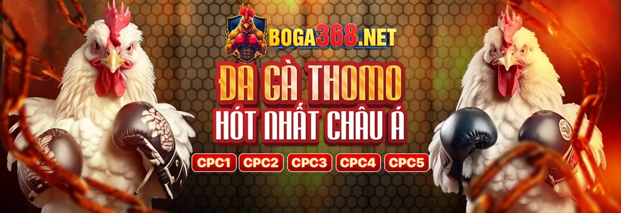 Banner tin tức mới nhất 288bet chính thức